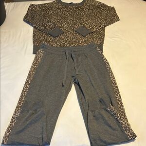 Splendid Gray and Brown Jogger Set